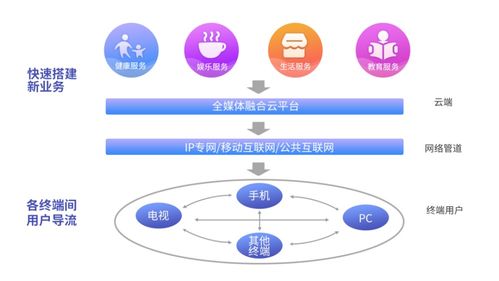 专访新媒股份王兵 用互联网技术打造新媒体的未来生态